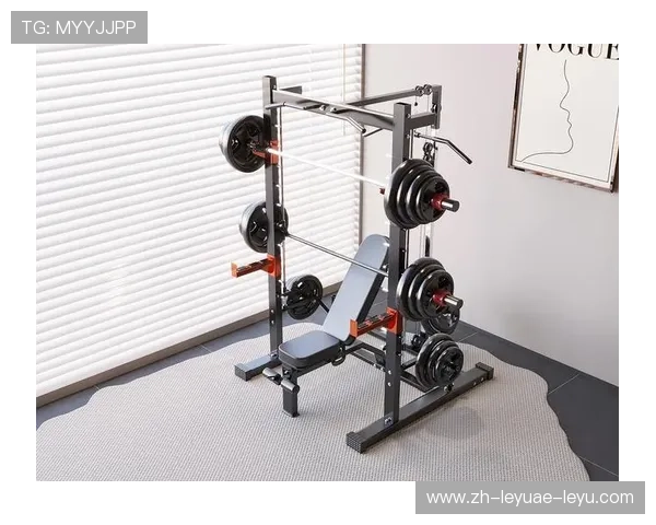 锻炼肺部健身器材推荐跑步机与深蹲架