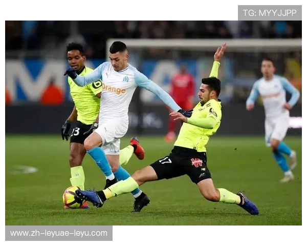 追踪法甲赛季进程你支持的球队是否如愿前进